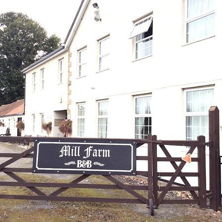 Mill Farm B&B Great Ayton Exteriör bild