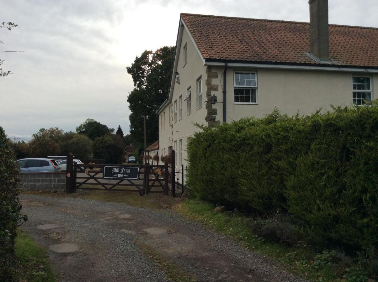 Mill Farm B&B Great Ayton Exteriör bild